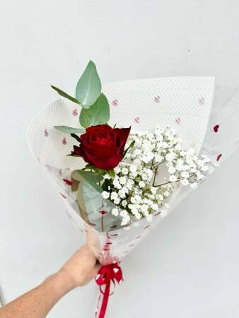 Single Rose