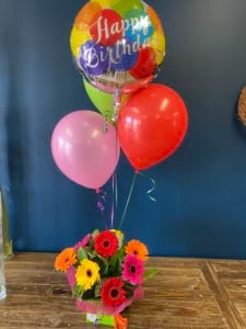 Birthday