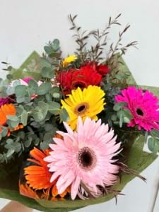Bright Gerbera